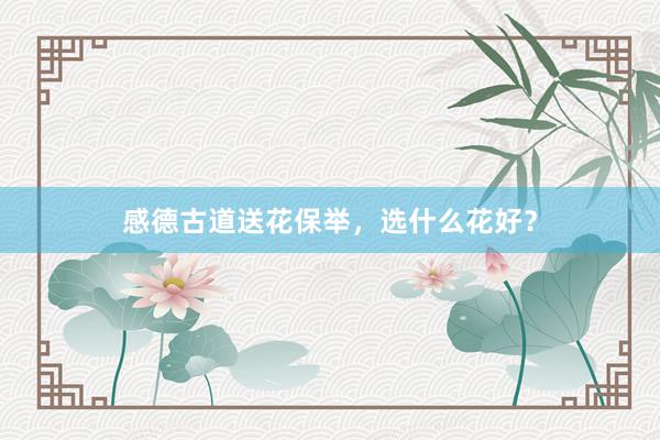 感德古道送花保举，选什么花好？