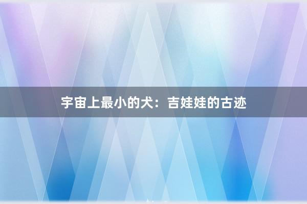宇宙上最小的犬：吉娃娃的古迹