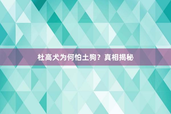 杜高犬为何怕土狗?真相揭秘